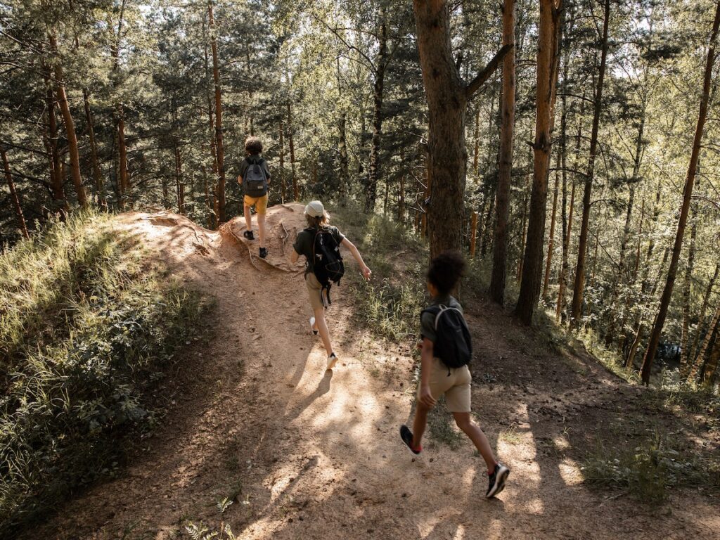 Children exploring woods and open for adventure.